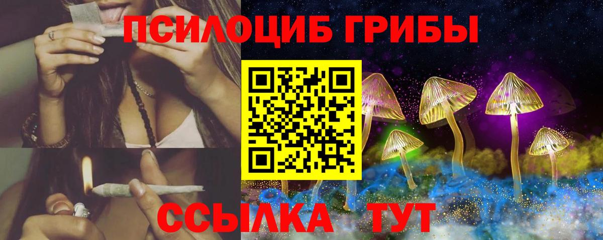 Псилоцибиновые грибы GOLDEN TEACHER  купить наркотик  Псилоцибиновые грибы Cubensis  Новочеркасск  Вход с VPN 